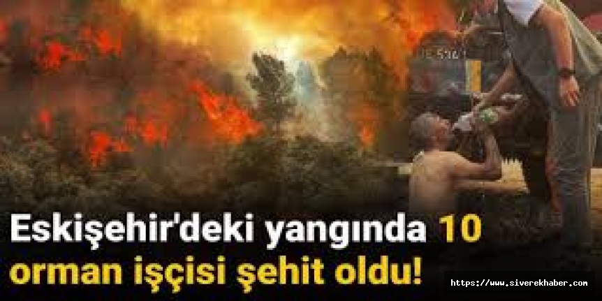 Eskişehir'deki orman yangınına müdahale eden 5'i orman işçisi, 5'i AKUT çalışanı 10 kişi şehit oldu