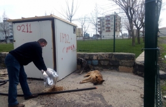 Siverek Belediyesi Sokak Hayvanlarını unutmadı