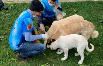 Fırat Gezginler Kulübü Üyeleri Sokak Hayvanlarını unutmadı