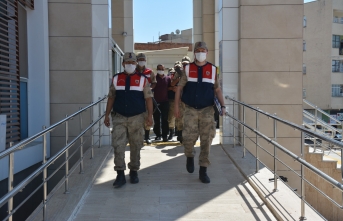 Siverek'te Eşini ve Kayınbabasını Öldüren  Zanlı Tutuklandı