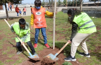 Öğrenciler okul bahçesine ağaç dikti