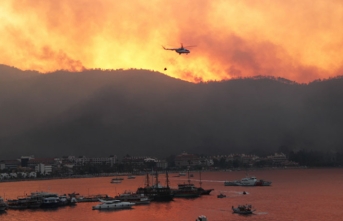 Tarım ve Orman Bakanı: Yangınların 57'sini kontrol altına alındı
