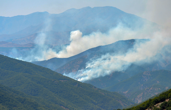 Selahattin Demirtaş: 38'de Dersim neden bombalandıysa ormanlar da aynı gerekçeyle yakılıyor