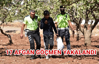 Siverek’te 17 Afgan göçmen yakalandı