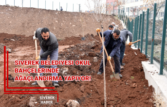 Siverek Belediyesi okul bahçelerinde ağaçlandırma yapıyor!