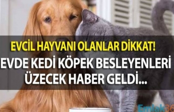 Evcil hayvanı olanlar dikkat: 31 Aralık'a kadar başvurmayanlar ceza ödeyecek