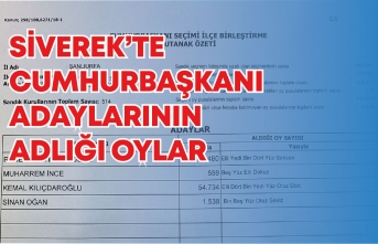 Siverek'te Cumhurbaşkanlığı seçim sonuçları