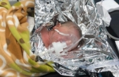 ŞANLIURFA’nın Siverek ilçesinde sokakta doğum yapan bir kadın bebeği poşete koyup sokakta bırakarak kaçtı.