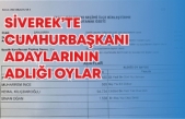 Siverek'te Cumhurbaşkanlığı seçim sonuçları