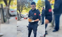 Su tahliye borusuna sıkışan yavru kedi kurtarıldı!