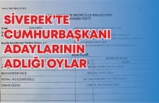 Siverek'te Cumhurbaşkanlığı seçim sonuçları