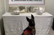 Şanlıurfa’da zehir tacirleri ve dolandırıcılara operasyon!