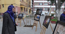 Siverek'ten Yansımalar Fotoğraf Sergisi Siverek'te