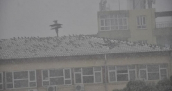 Siverek'te Etkili Kar Yağışı