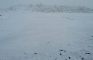 Karacadağ’a yılın ilk karı düştü
