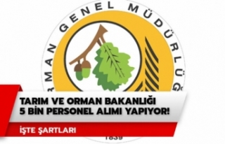 Başvurular başladı! 5 bin personel alınacak...