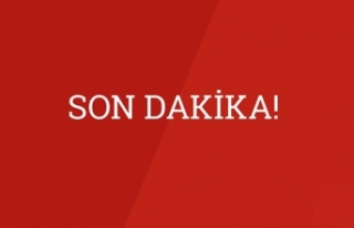 Bakan Albayrak: İşletmelere 3 ay maaş desteği...