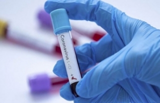 Şanlıurfa'da koronavirüs vakaları güncellendi