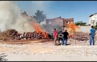 Şanlıurfa’nın Siverek ilçesinde satılmak amacıyla...