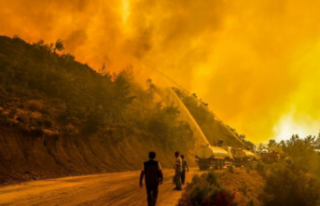 Antalya'daki orman yangını soruşturmasında...