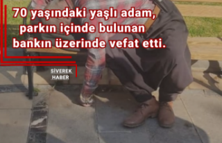 Yaklaşık 7 yıldır sokaklarda yaşayan yaşlı...