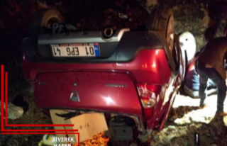Siverek-Çermik kara yolunda kaza: 2 yaralı