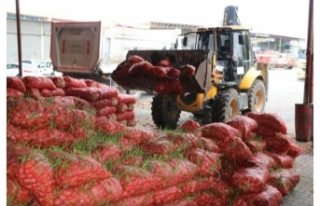 Şanlıurfa'da 22 ton çürümüş soğan ele...