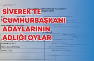 Siverek'te Cumhurbaşkanlığı seçim sonuçları