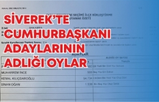 Siverek'te Cumhurbaşkanlığı seçim sonuçları