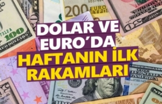 Dolar ve euroda haftanın ilk rakamları