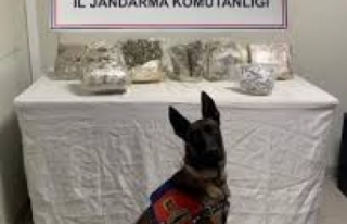 Şanlıurfa’da zehir tacirleri ve dolandırıcılara...