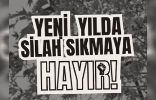 Siverek'te yılbaşı silahlarına karşı "Dur"...