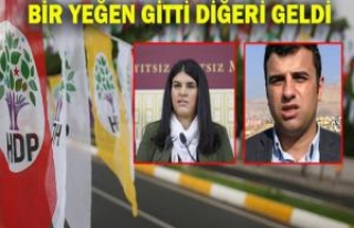 HDP Şanlıurfa aday listesi'nde 'Öcalan' var