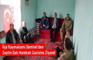 İlçe Kaymakamı Demirelden Zeytin Dalı Harekatı...