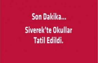 Siverek'te Okullar Yarın Tatil 