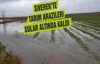 Siverek'te tarım arazileri sular altında kaldı