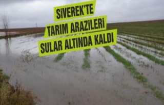 Siverek'te tarım arazileri sular altında kaldı