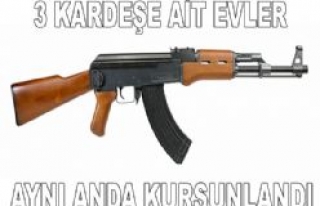  3 KARDEŞİN EVİNİ TARADILAR