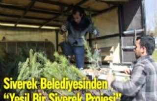 Siverek Belediyesinden  Yeşil Alan Kampanyası