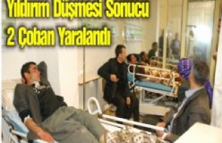 Siverek'e Yıldırım düştü 2 Çoban Yaralandı...