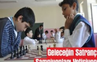 Geleceğin Satranç Şampiyonları Yetişiyor 