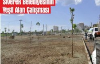 Siverek Belediyesinin Yeşil Alan Çalışması 