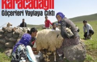 Karacadağlı Göçerler Yaylaya Çıktı 