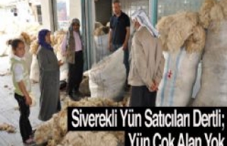 Siverekli Yün Satıcıları Dertli; Yün Çok Alan...