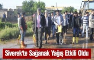 Siverek'te Sağanak Yağış Etkili Oldu 