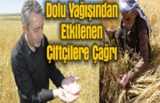 Dolu Yağışından Etkilenen Çiftçilere Çağrı