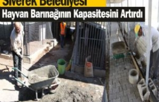 Siverek Belediyesi Hayvan Barınağının...