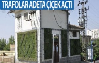  Siverek'te Trafolar Adeta Çiçek Açtı