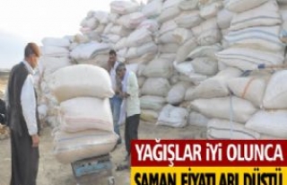 Yağışlar İyi Olunca Saman Fiyatları Düştü 