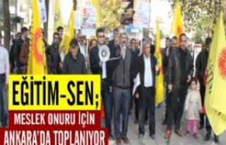 Eğitim-Sen; Meslek Onuru İçin Ankara'da Toplanıyor